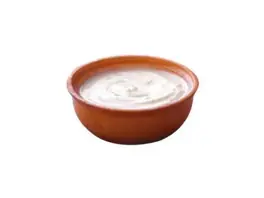 لبن زبادي